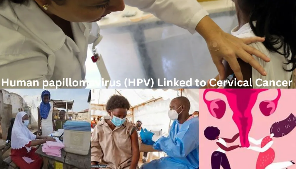 Human papillomavirus (HPV) Linked to Cervical Cancer & Effects or  Side-effect of HPV Vaccination